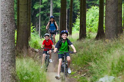 Radfahren im Nationalpark Bayerischer Wald